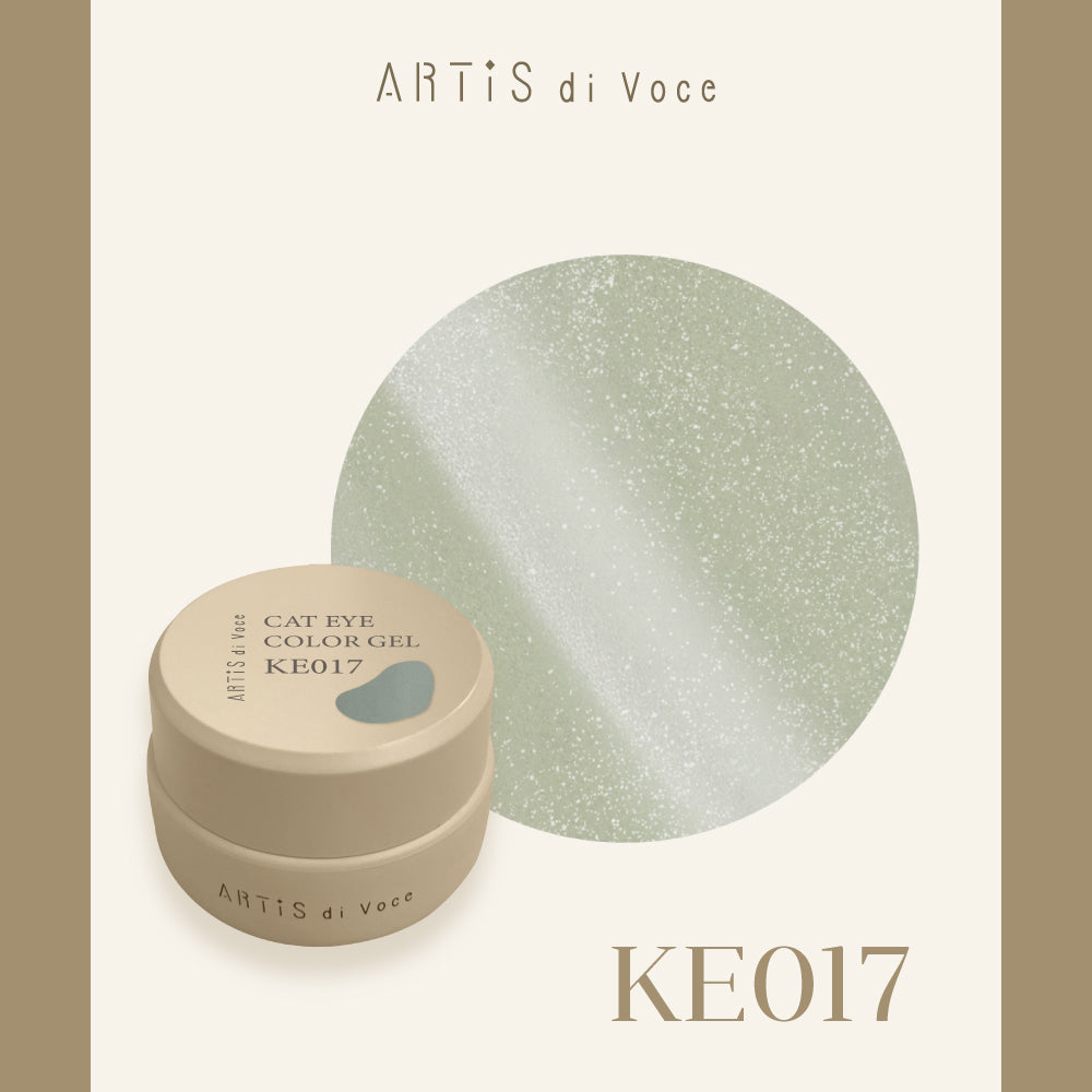 ARTiS di Voce 貓眼凝膠2g KE017