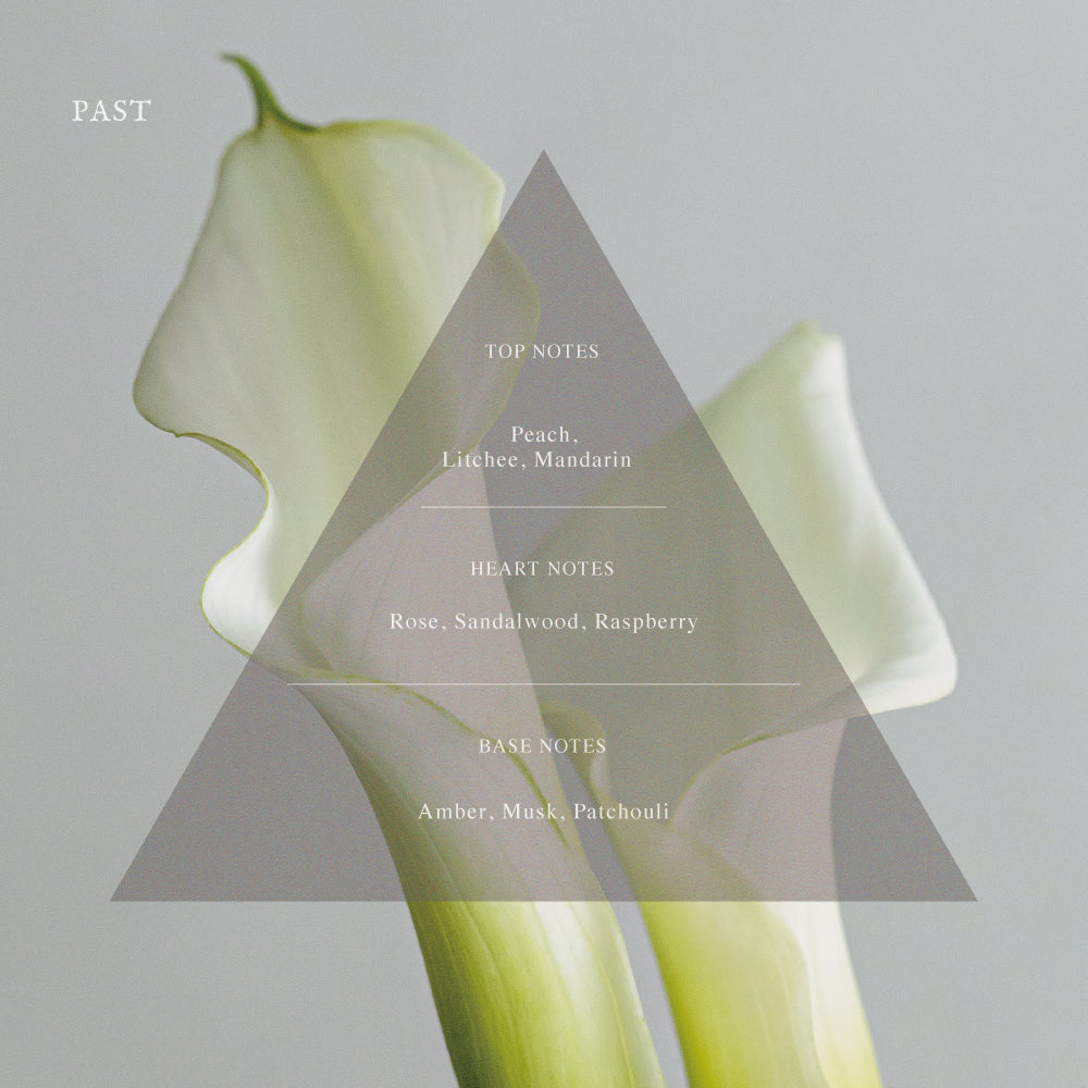 ARTiS di Voce x .m 香氛保濕護手霜 - PAST